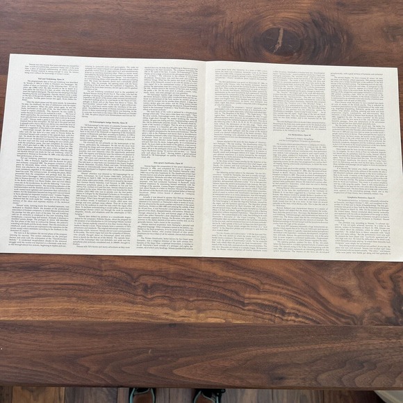 Richard Strauss Tone Poems Vienna 5xLP Box Set Vanguard SRV 325/29 - Picture 11 of 11